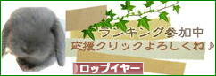 にほんブログ村 うさぎブログ ロップイヤーへ