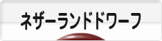 にほんブログ村 うさぎブログ ネザーランドドワーフへ