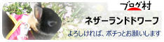 にほんブログ村 うさぎブログ ネザーランドドワーフへ