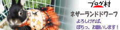 にほんブログ村 うさぎブログ ネザーランドドワーフへ