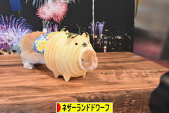 にほんブログ村 うさぎブログ ネザーランドドワーフへ