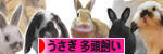 にほんブログ村 うさぎブログ うさぎ 多頭飼いへ