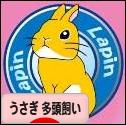 にほんブログ村 うさぎブログ うさぎ 多頭飼いへ