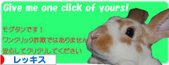 にほんブログ村 うさぎブログ レッキス・ミニレッキスへ