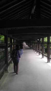 Imag1117_2 Imag1117_2