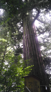 Imag1159_2 Imag1159_2