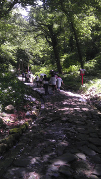 Imag1183_3 Imag1183_3