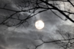 7a65297273f7df80d935c8c7f513e2df_m