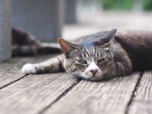 普通普通って…めんどくさ…
