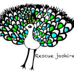 働く女性の悩み、主婦の問題、ママ友とのトラブルを解決する話 　by風宏（レスキュー女子ブログ）風茜（冷えとりブログ）