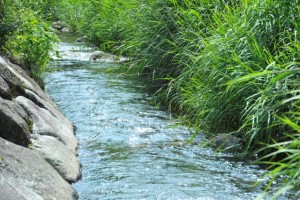 53406bf03506bc034c1a7cac4de889b1_s