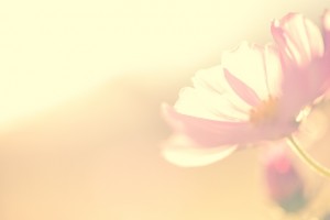 e79ac3adbba864acc38f02c21f86e28b_s