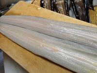 画像の説明