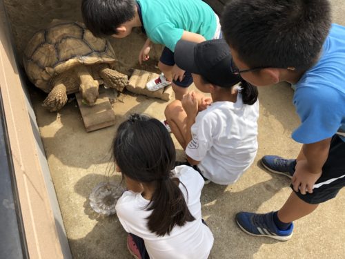 %e4%ba%80-1-jpg-%e3%81%ae%e3%82%b3%e3%83%94%e3%83%bc