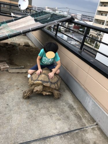 %e4%ba%80-2%e4%bf%ae%e6%ad%a3