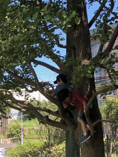 %e6%9c%a8%e7%99%bb%e3%82%8a-jpg-%e3%81%ae%e3%82%b3%e3%83%94%e3%83%bc