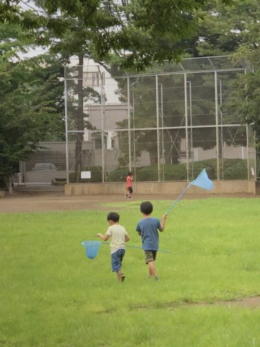 %e8%99%ab%e5%8f%96%e3%82%8a-3