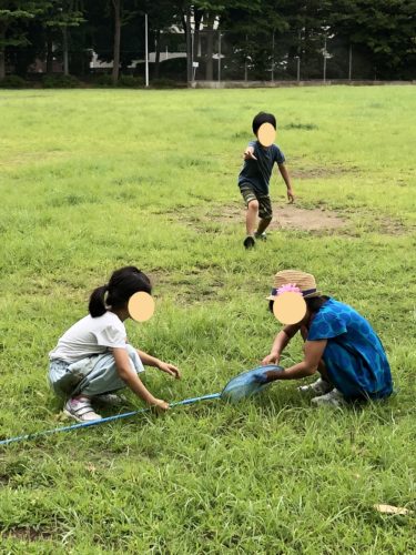 %e8%99%ab%e5%8f%96%e3%82%8a-5%e4%bf%ae%e6%ad%a3