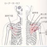 ローテーターカフ