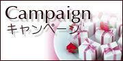 キャンペーン_Campaign