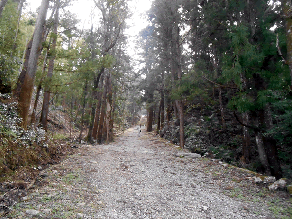 天石別八倉比売神社