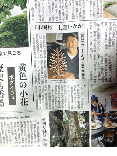 小国杉