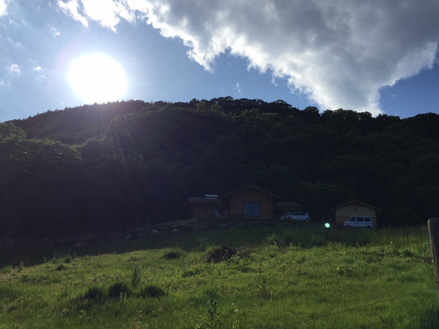 DASHA村の様なプロジェクト