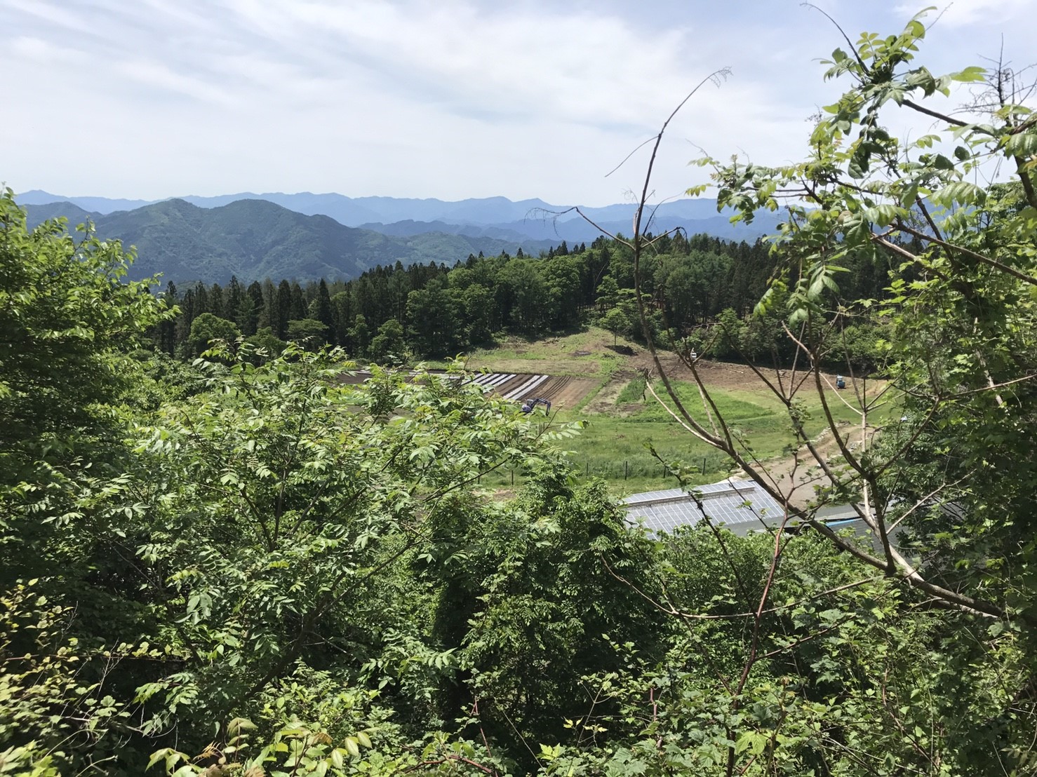 DASHA村の様なプロジェクト