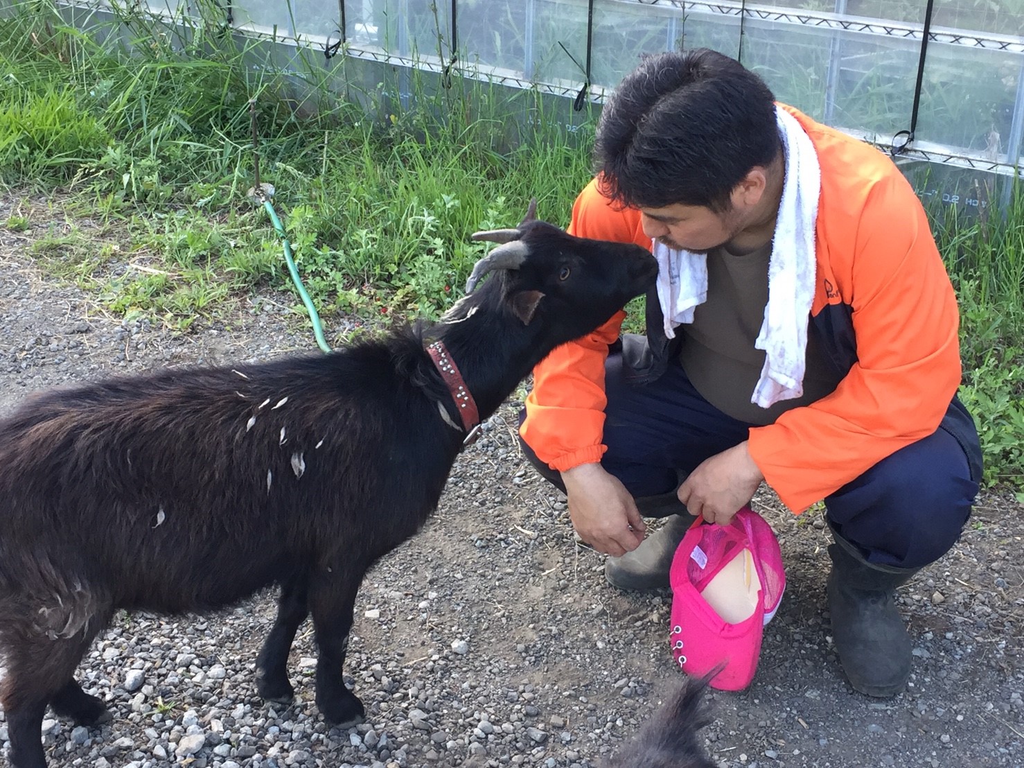 DASH村の様なプロジェクト