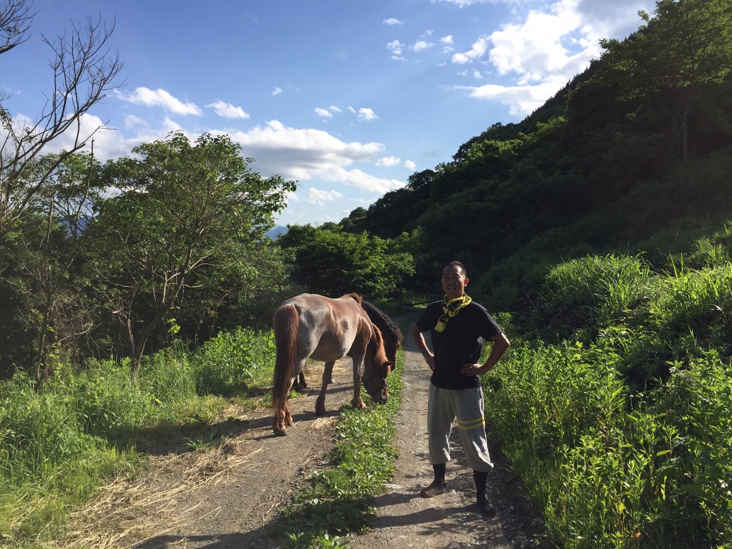 DASH村の様なプロジェクト
