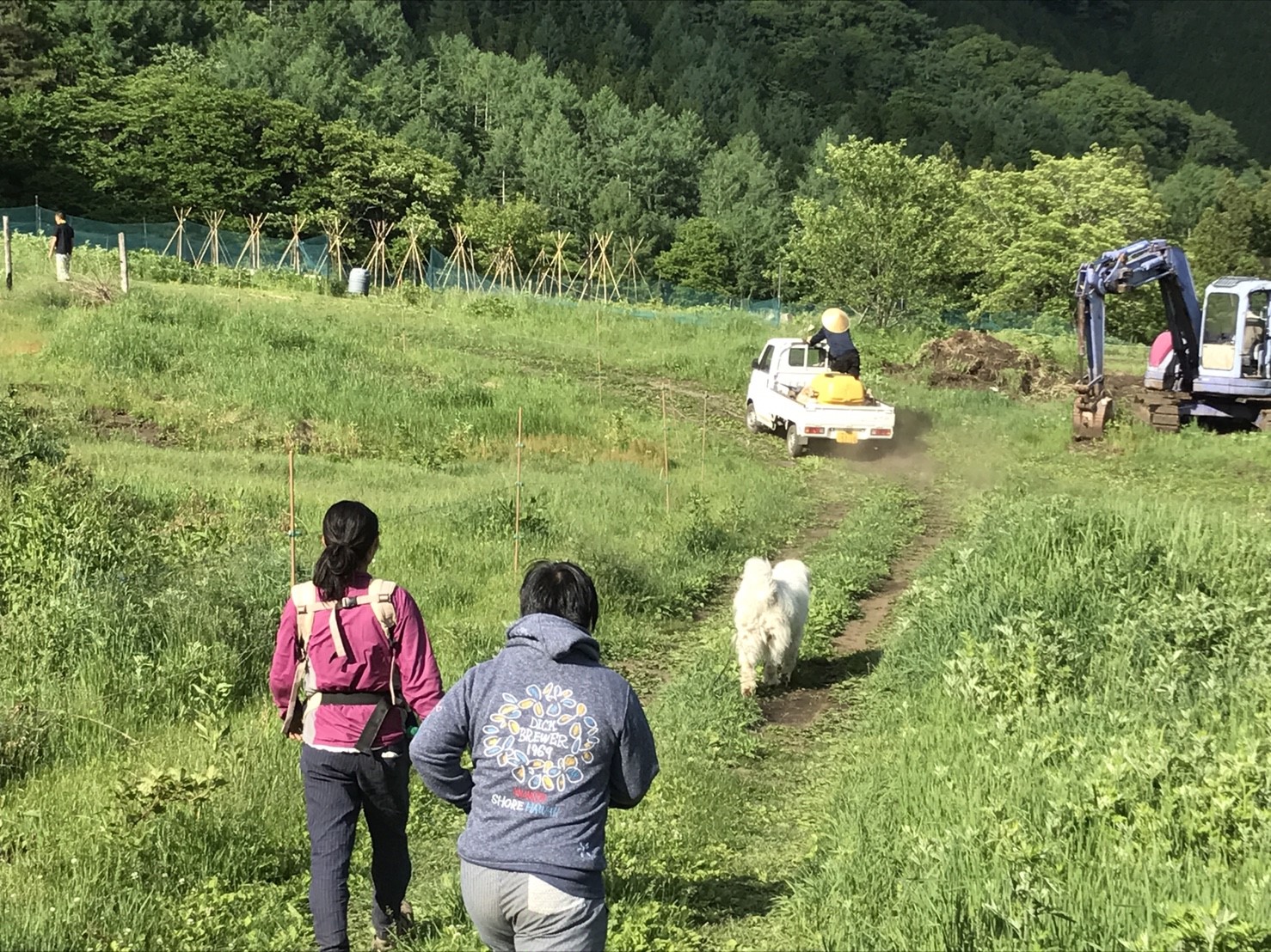 DASHA村の様なプロジェクト