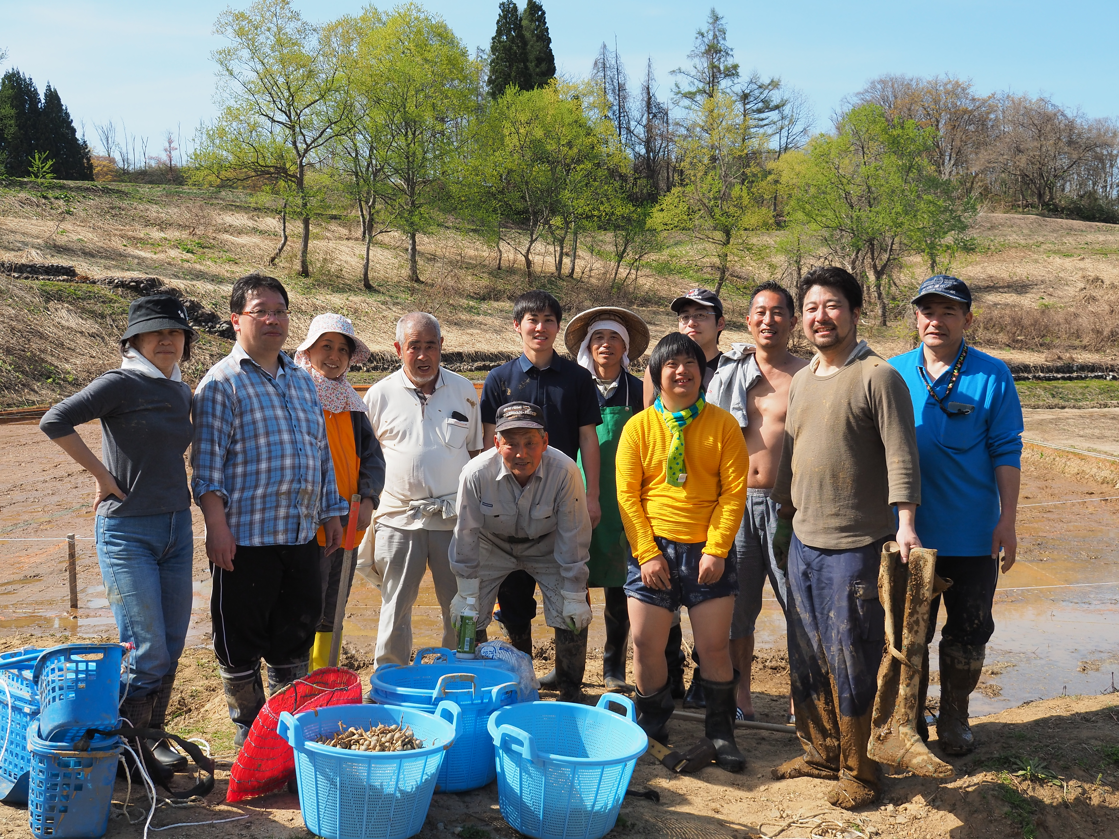 山形県戸沢村、農作業イベント　クワイの植え付け