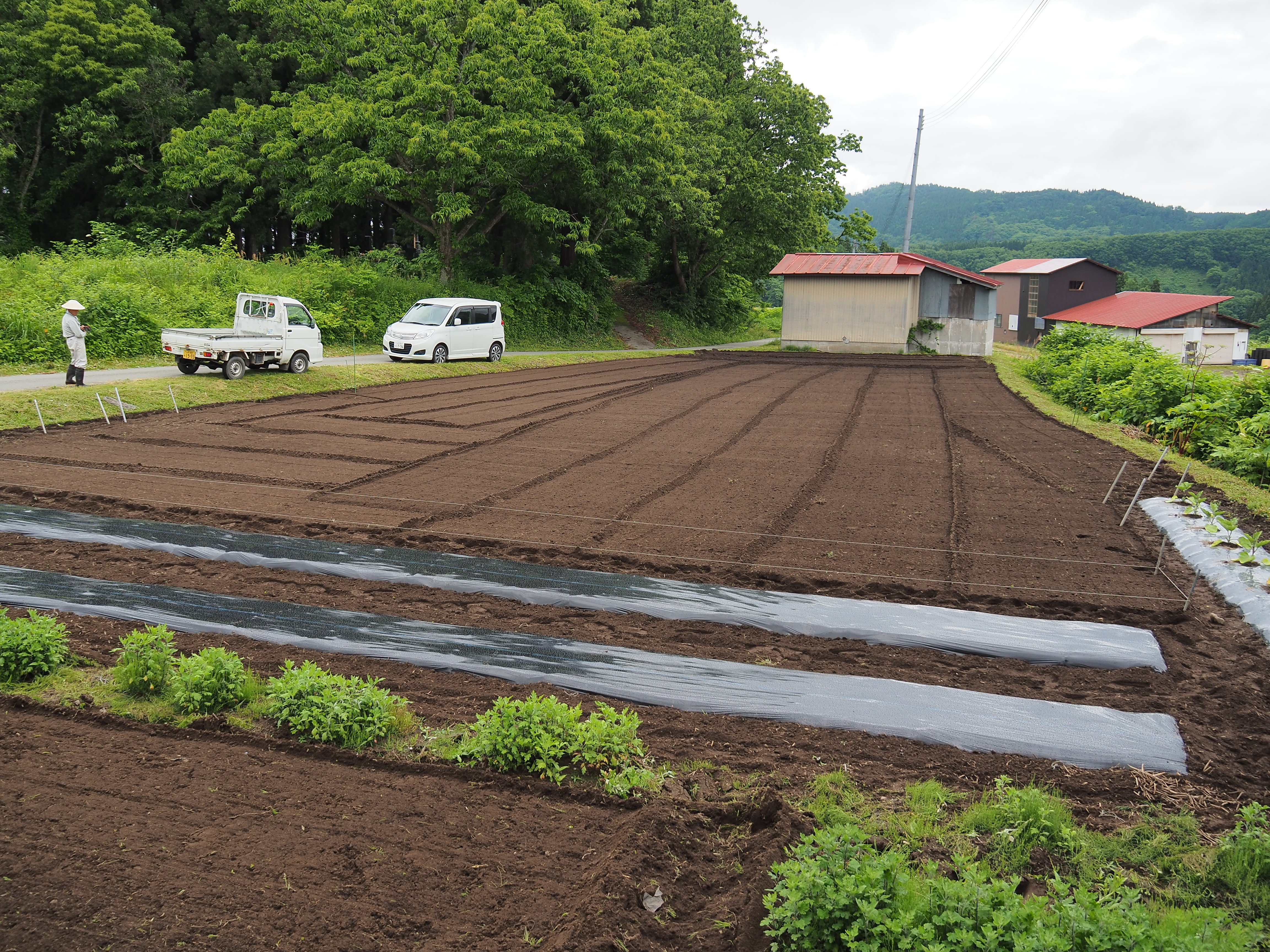 2017年6月17日、山形県戸沢村農作業イベント