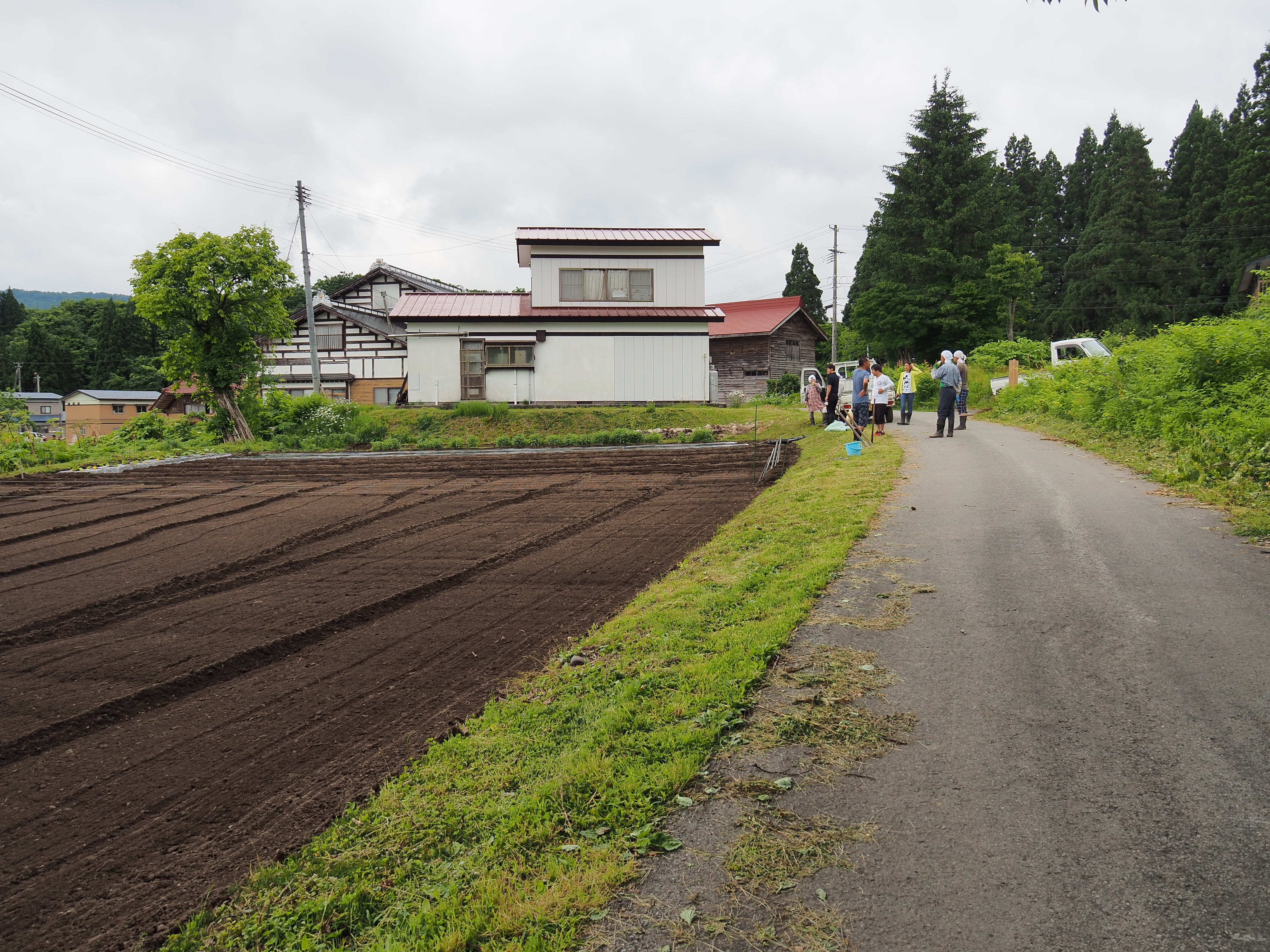 2017年6月17日、山形県戸沢村農作業イベント