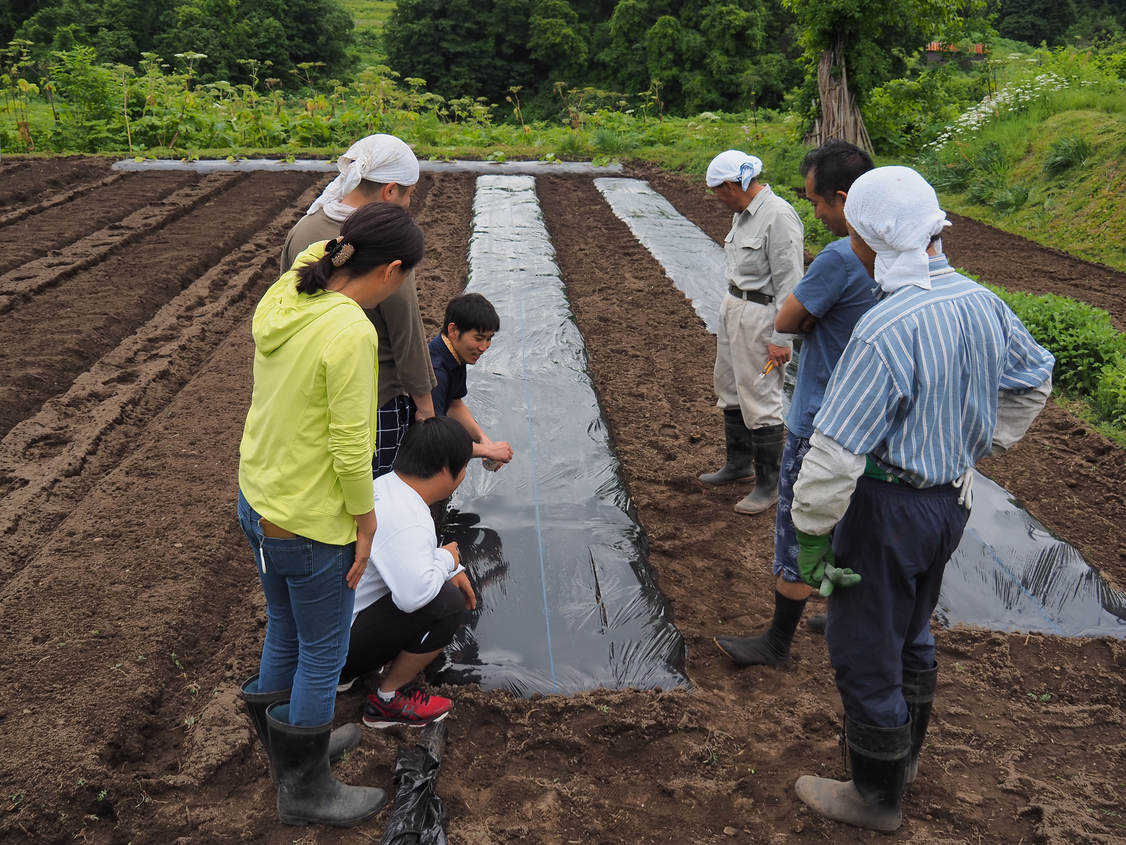2017年6月17日、山形県戸沢村農作業イベント