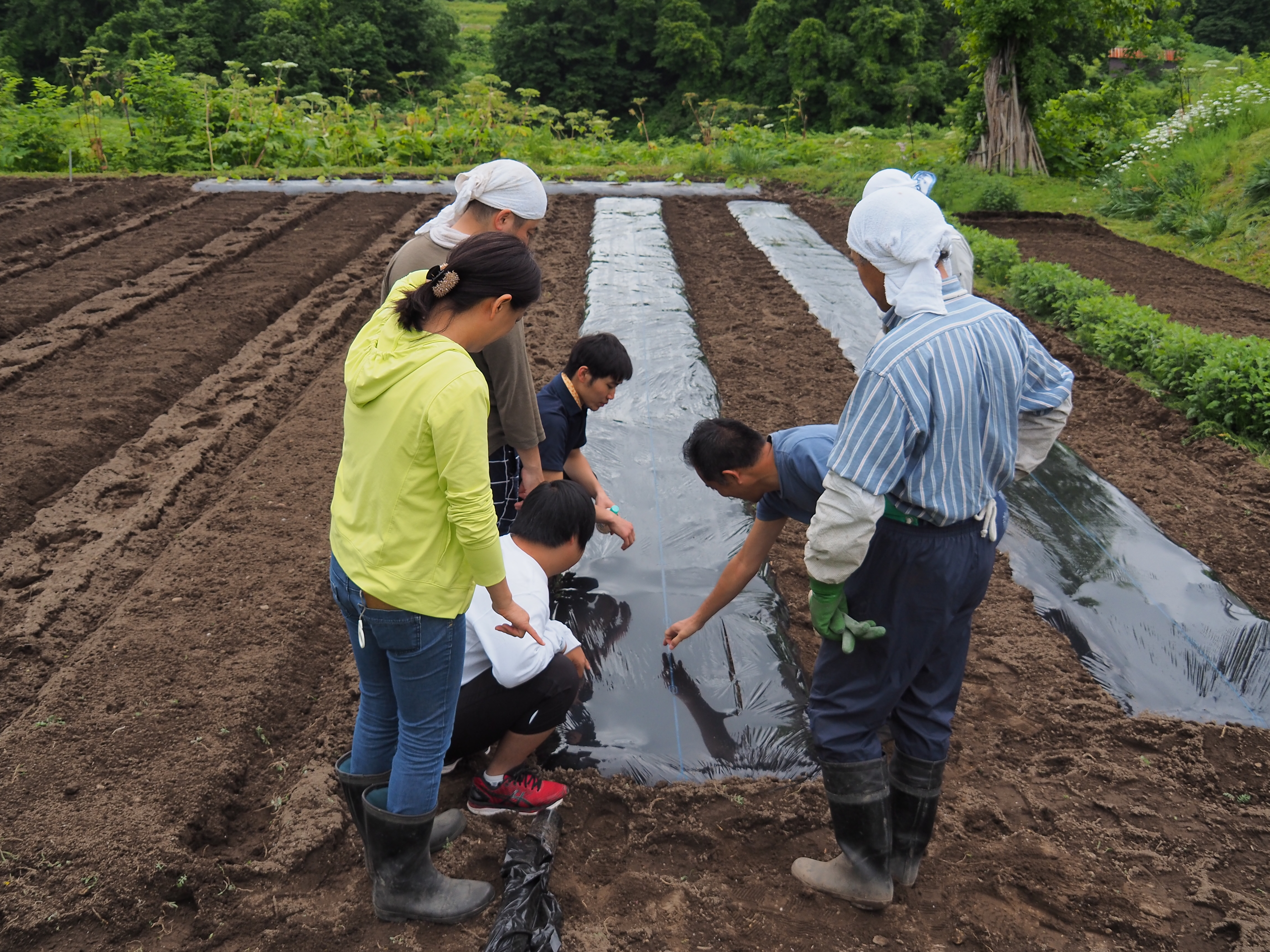 2017年6月17日、山形県戸沢村農作業イベント