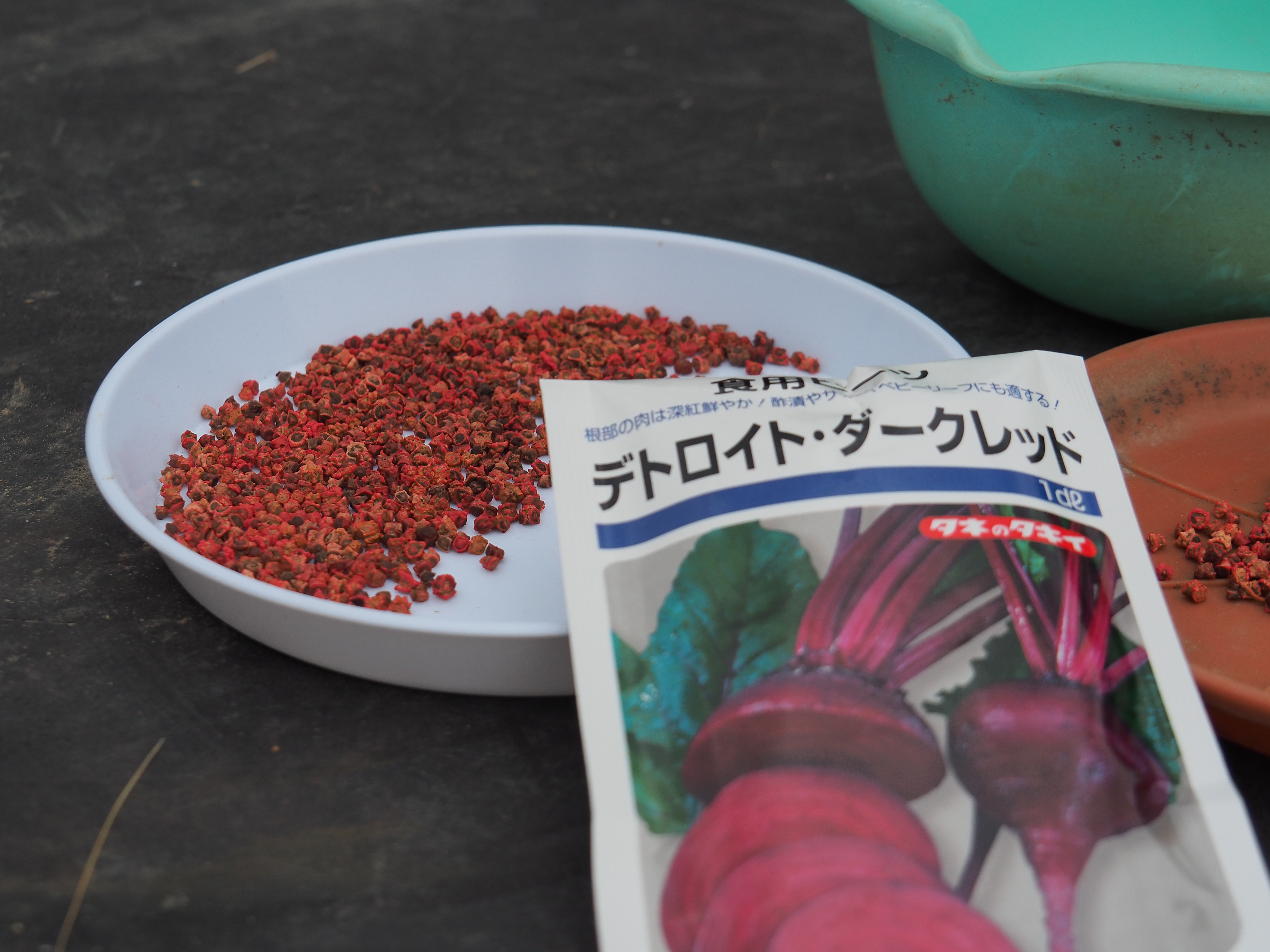 2017年6月17日、山形県戸沢村農作業イベント