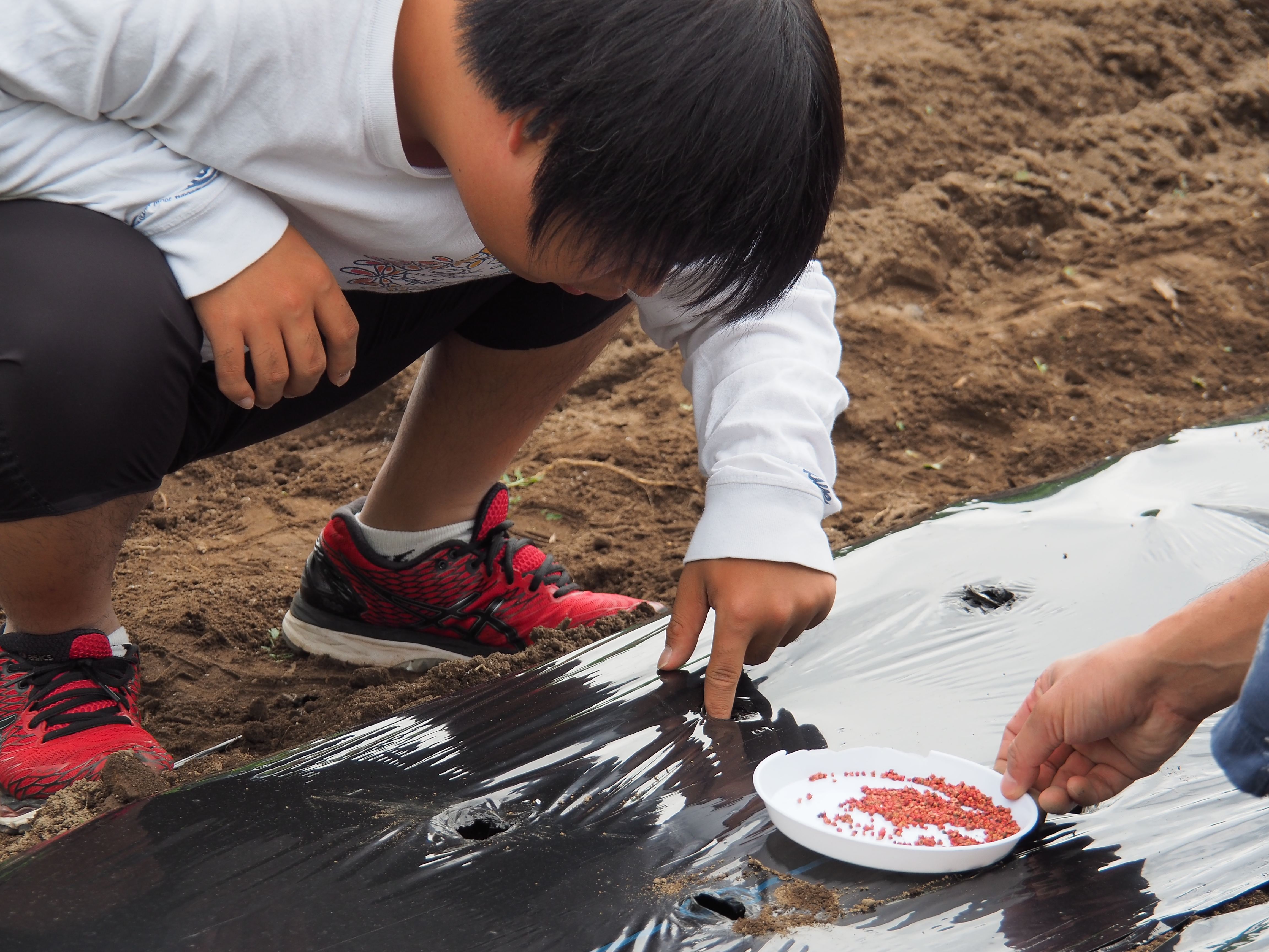2017年6月17日、山形県戸沢村農作業イベント