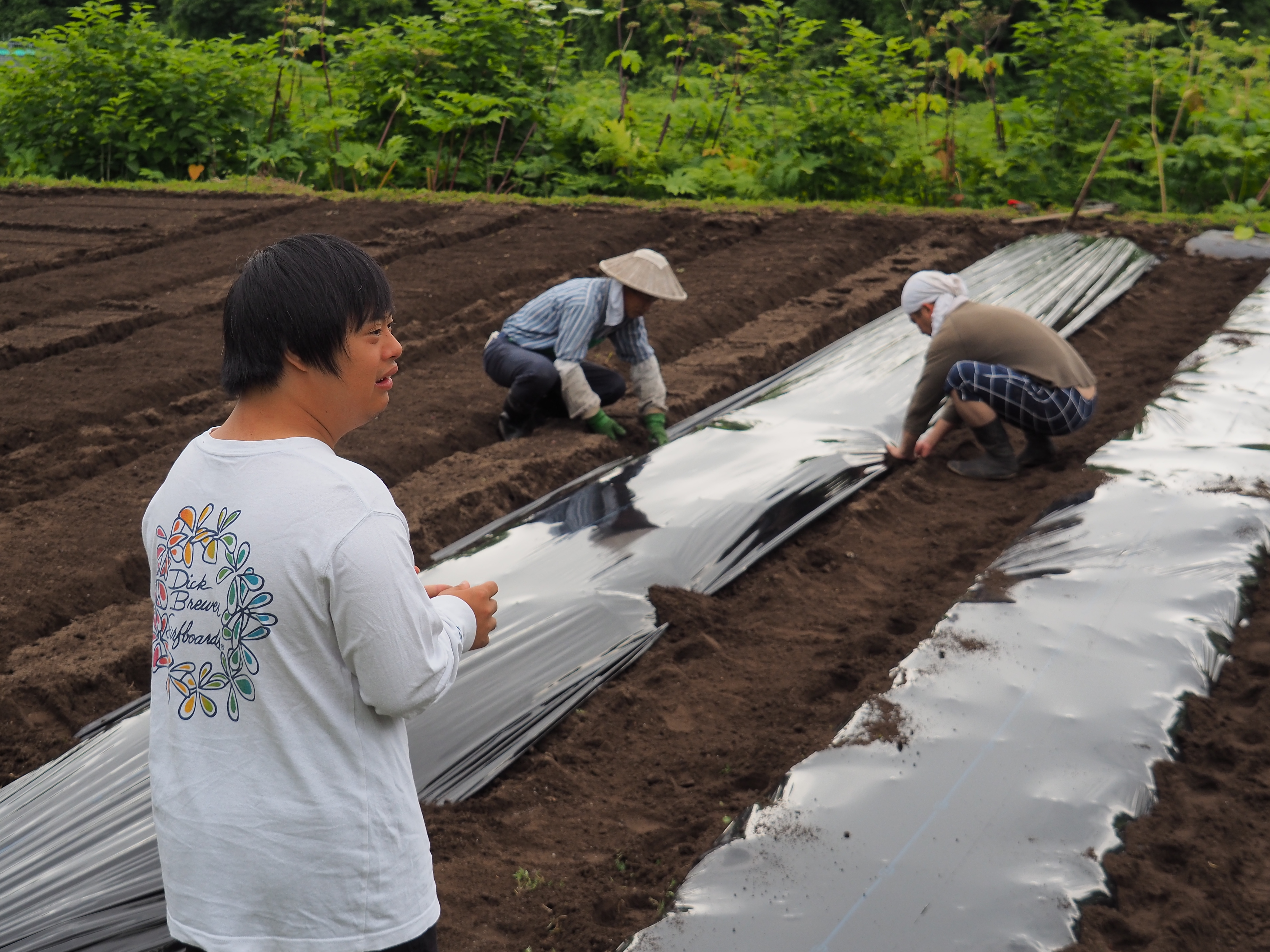 2017年6月17日、山形県戸沢村農作業イベント