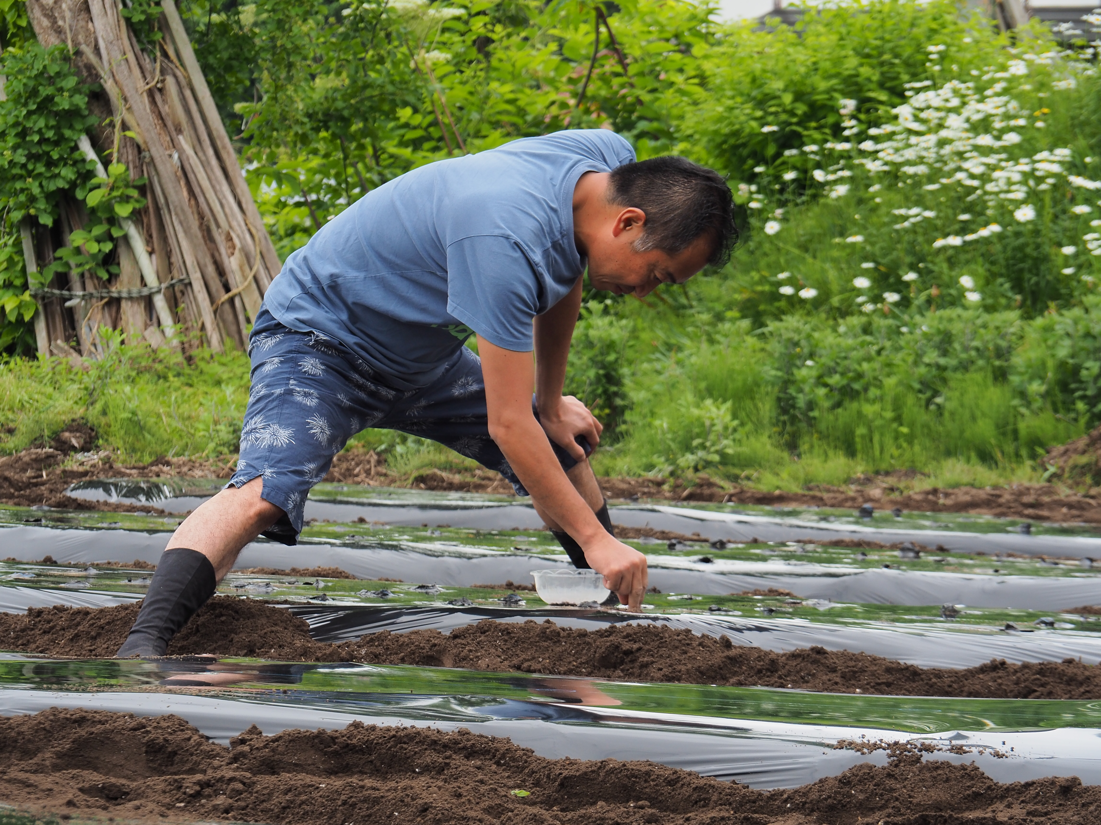 2017年6月17日、山形県戸沢村農作業イベント