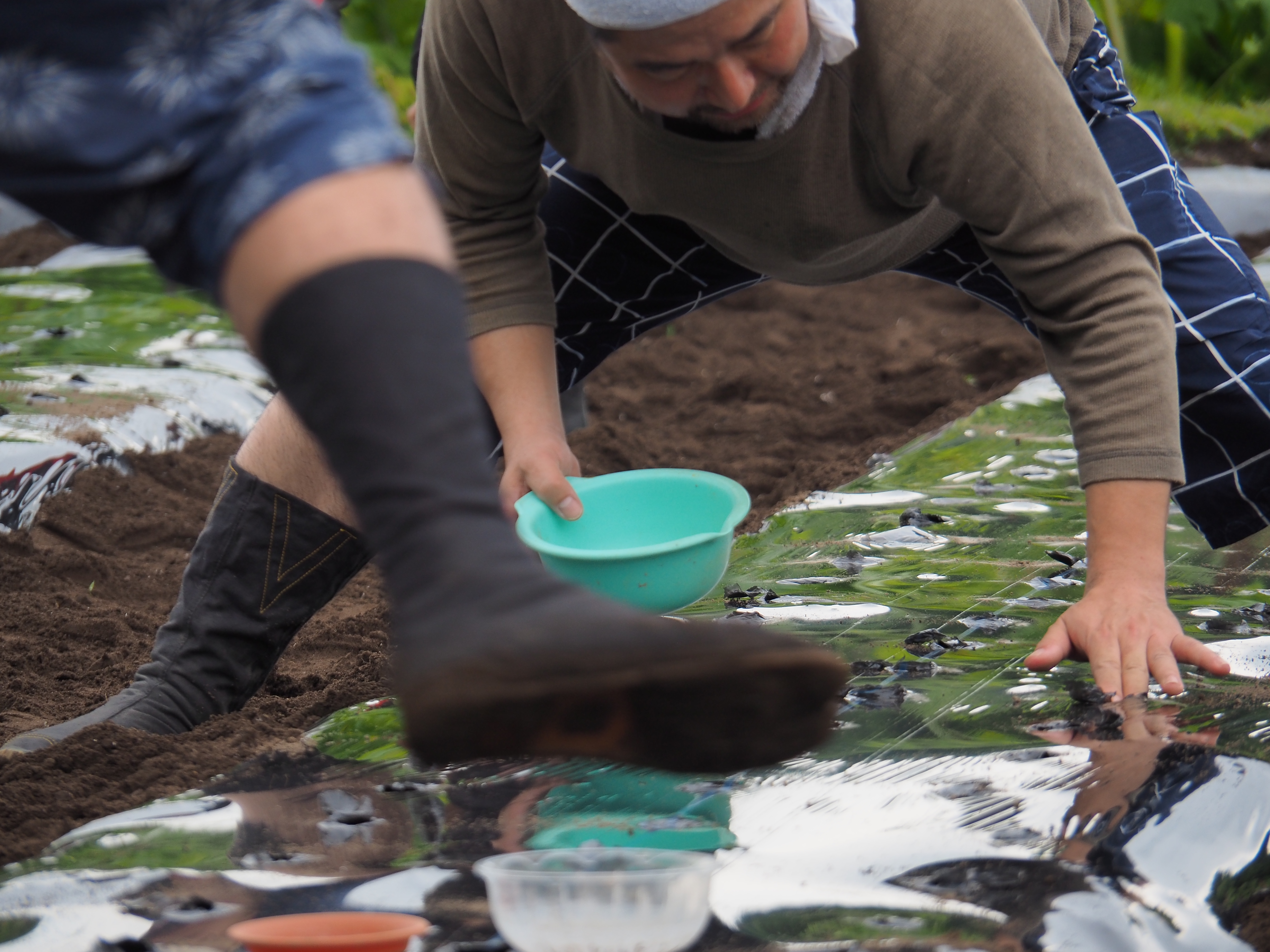 2017年6月17日、山形県戸沢村農作業イベント
