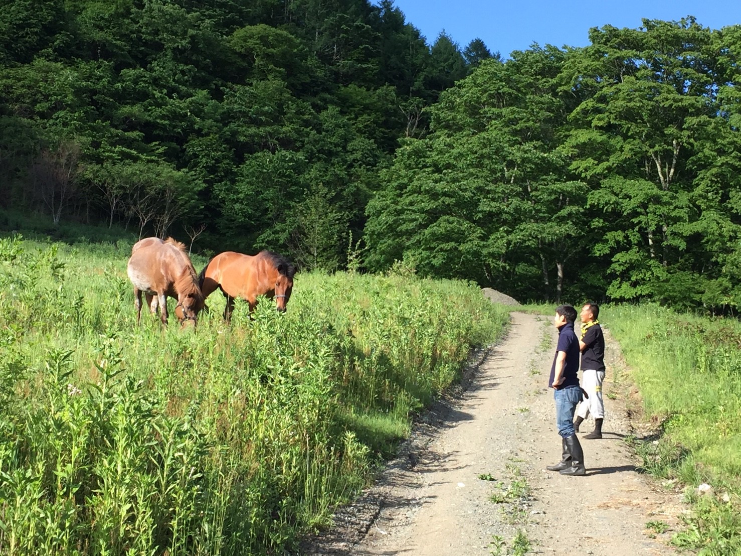 DASHA村の様なプロジェクト