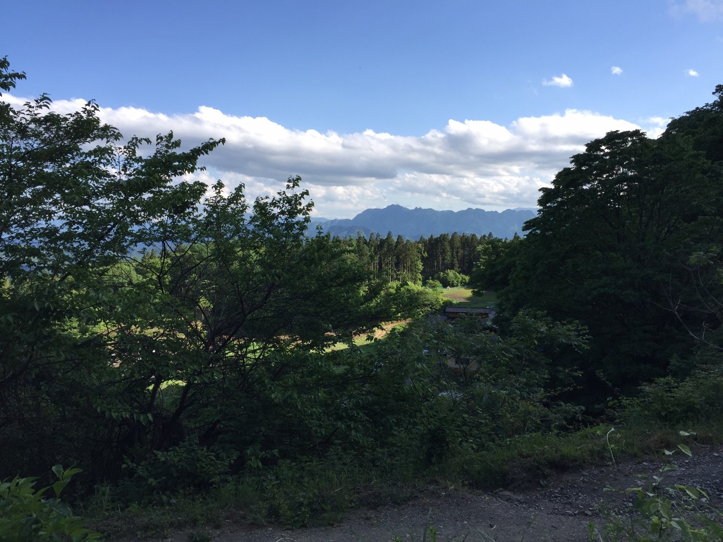 DASH村の様なプロジェクト