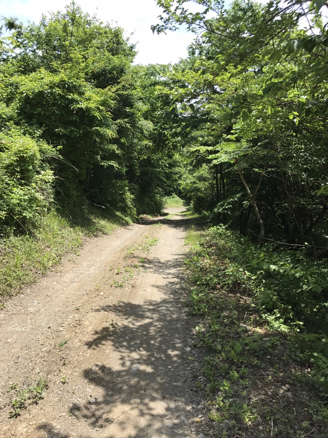 DASH村の様なプロジェクト