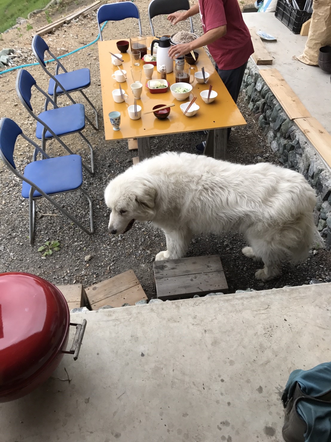 DASHA村の様なプロジェクト