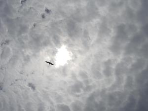 Dsc04704
