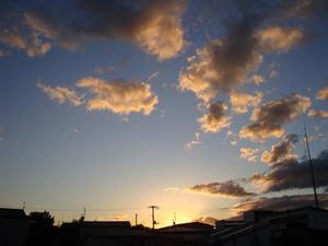 Dsc05624