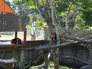 Dsc05685