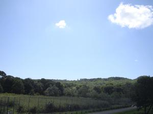 Dsc05787 Dsc05787