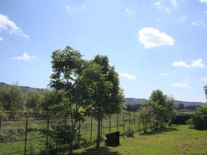 Dsc05796 Dsc05796